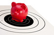 Piggy Bank on Bulls'eye (Financial Security)
