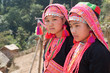 Akha Frauen in Laos Akha Frauen in Laos