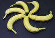 Circle of bananas