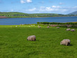beautiful breathtaking vibrant  irish scenic coastal seascape
