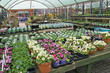 Garden Center