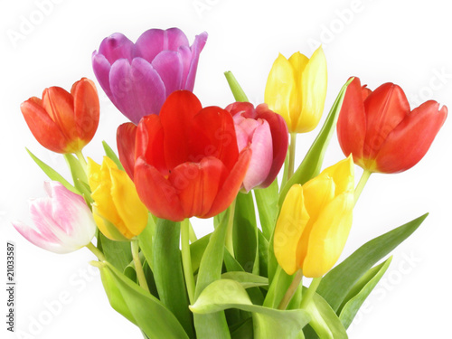 Photo: Osterblumen Osterblumen
