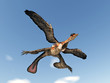 Microraptor