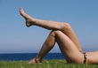 Sexy female legs Sexy female legs