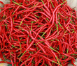red chili