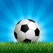 Soccer Ball - More soccer illustrations in my portfolio.