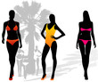 Illustration of women in bathing-dress Illustration of women in bathing-dress
