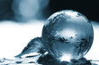 globe ecology