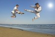 taekwondo