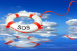 Schwimmreifen 48
