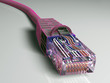 Illustration: lancable_neon lancable_neon