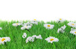 Sommerfrische