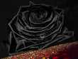 Dark rose 2