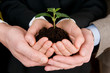 Growing green business