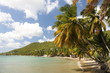Beach with palm trees on St. Lucia in the Caribbean Beach with palm trees on St. Lucia in the Caribbean