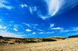 Pale blue and white sky over cultivated land