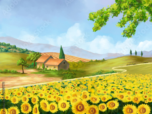 Illustration: Sunflowers field Sunflowers field