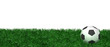 Fußball Rasen