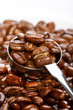 coffee beans.