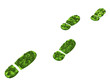 Gras Schuhabdruck