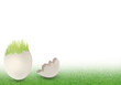 Egg in grass