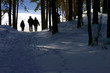 winter airing