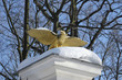 Symbolic Golden Eagle