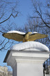 Symbolic Golden Eagle