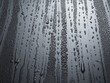 Foto: Wassertropfen auf schwarz glänzendem Hintergrund Wassertropfen auf schwarz glänzendem Hintergrund