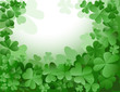clovers garden clovers garden