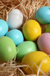 piccole uova di pasqua sulla paglia