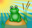 illustration of  green smiling frog with big eyes