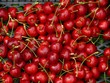 Red cherry