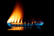 Fogo