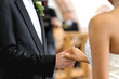 Bride and groom holding each other's hands