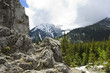 Mountains spring Mountains spring