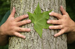 Tree hugging environmentalist