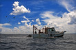 Towing Boat - Fishing boat