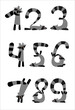 Raccoon numbers