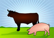 Rind und Schwein