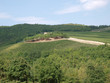 Villa in Tuscany amongst vineyards and an olive groves Villa in Tuscany amongst vineyards and an olive groves