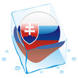 vector slovakia button flag frozen in ice cube