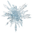 snowflake snowflake