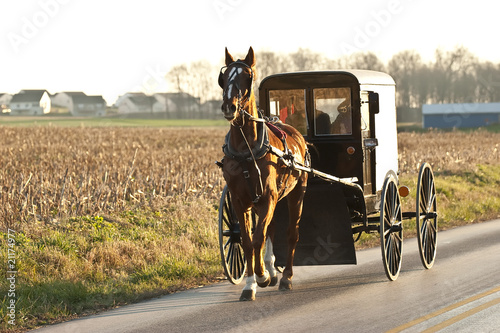Photo: amish cart amish cart