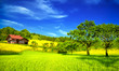 Mountain house in summer