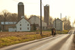 Photo: amish horse cart and farm amish horse cart and farm