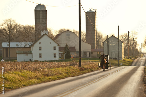 Photo: amish horse cart and farm amish horse cart and farm