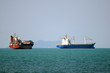 Cargo Ships