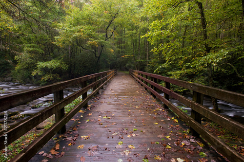 Photo: Bridge over mountain stream in Great Smoky Mountains Bridge over mountain stream in Great Smoky Mountains