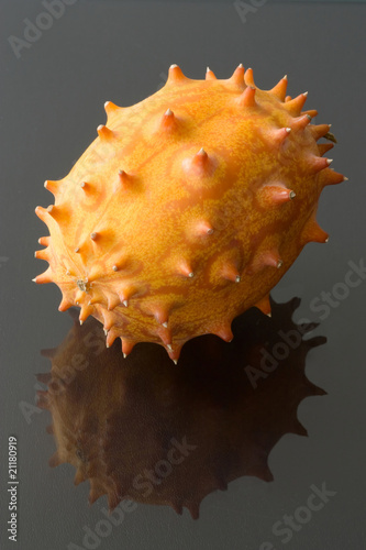 Photo: Horngurke Horngurke